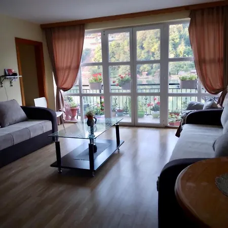 Idila Zvornickog Jezera Σπίτι διακοπών Ζβόρνικ